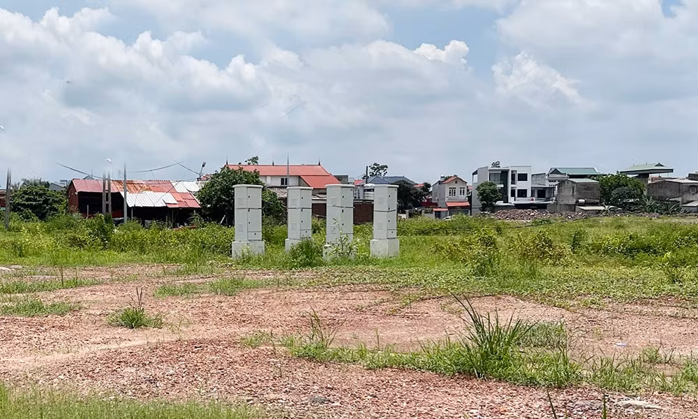 dữ liệu