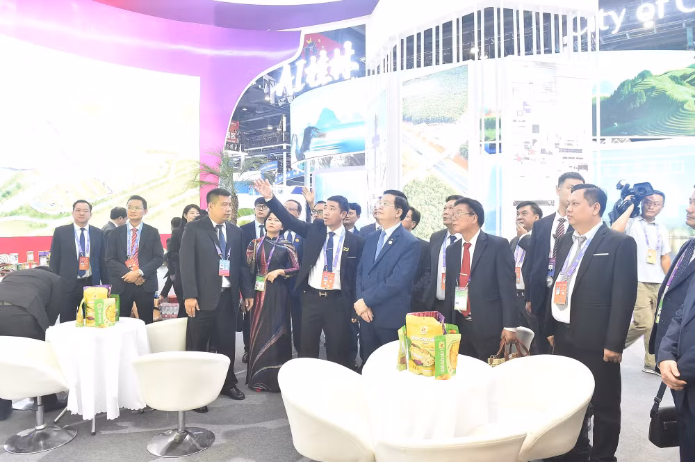 Phó Thủ tướng Mai Văn Chính nhấn mạnh 3 đề xuất hợp tác Trung Quốc - ASEAN- Ảnh 8.
