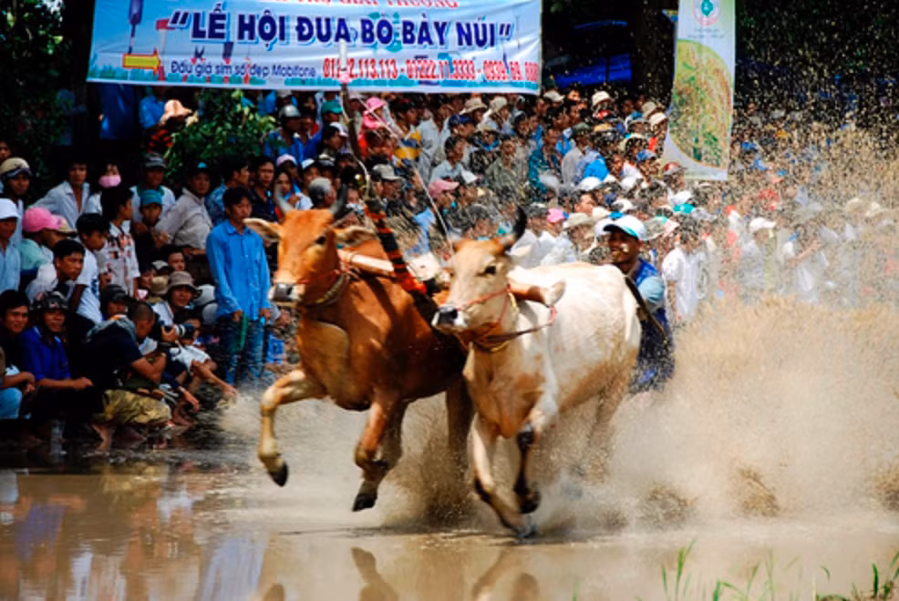 Ảnh màn hình 2025-09-11 lúc 22.04.35