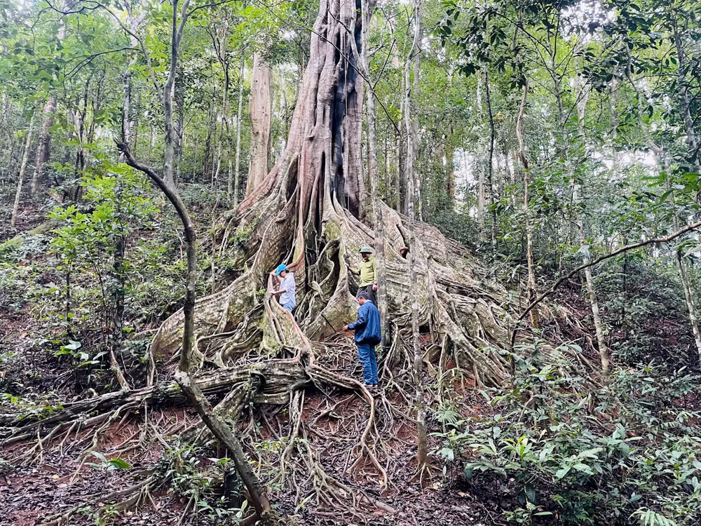 z7025456256556_80d106511d229004f23c327f243eda61.jpg