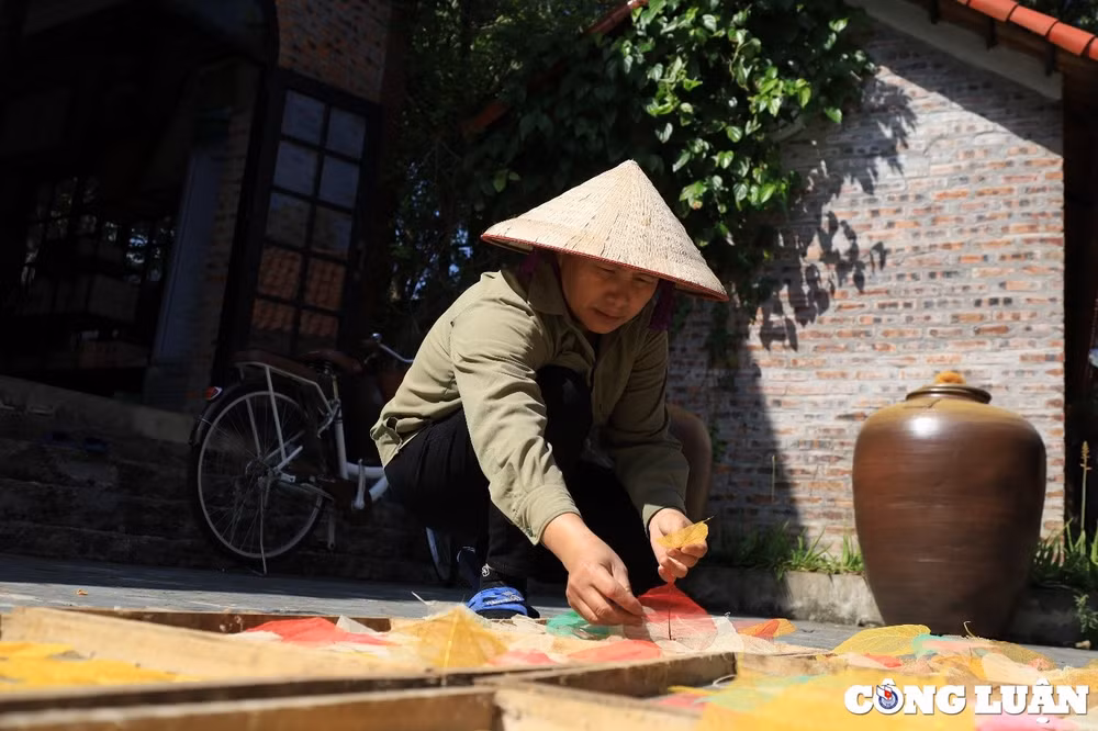lam tranh phat trien kinh te tang thu nhap tu la cay bo de hinh 6