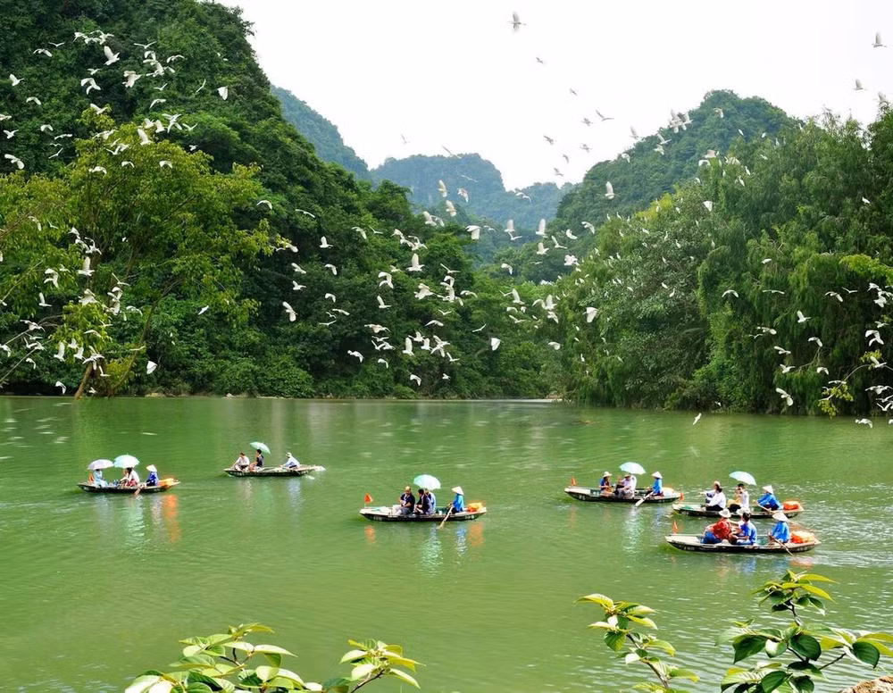 khu du lich sinh thai thung nham noi to chuc su kien ket noi thien nhien hinh 3