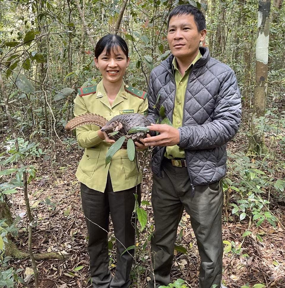 gia lai tha ca the te te vang quy hiem vao khu bao ton thien nhien kon chu rang hinh 1