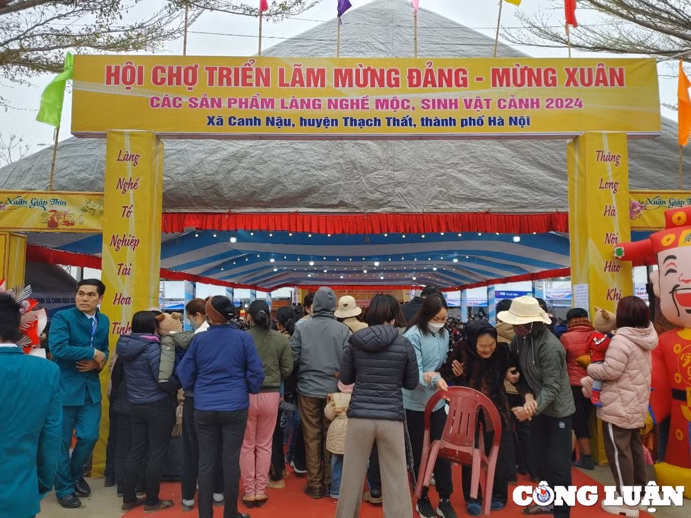canh nau thach that khai mac trien lam san pham lang nghe moc sinh vat canh 2024 hinh 7