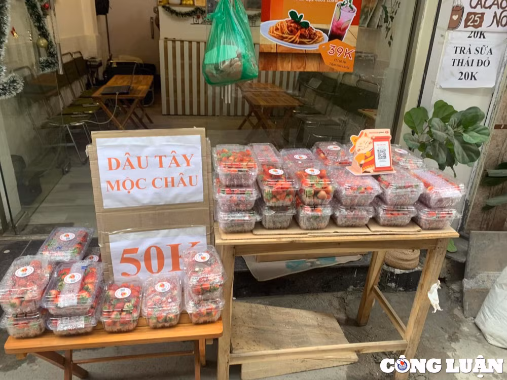 dau tay son la do bo xuong pho gia re sieu dat khach hinh 1