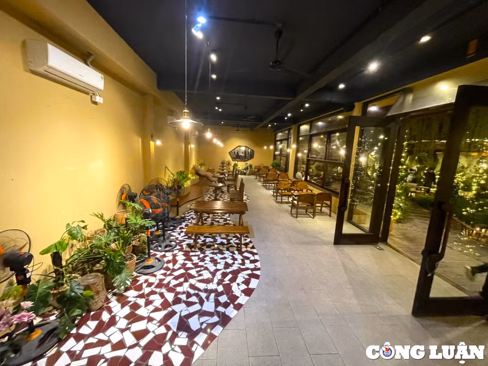 khong gian quan ca phe xanh doc nhat vo nhi tai tp hai duong hinh 5