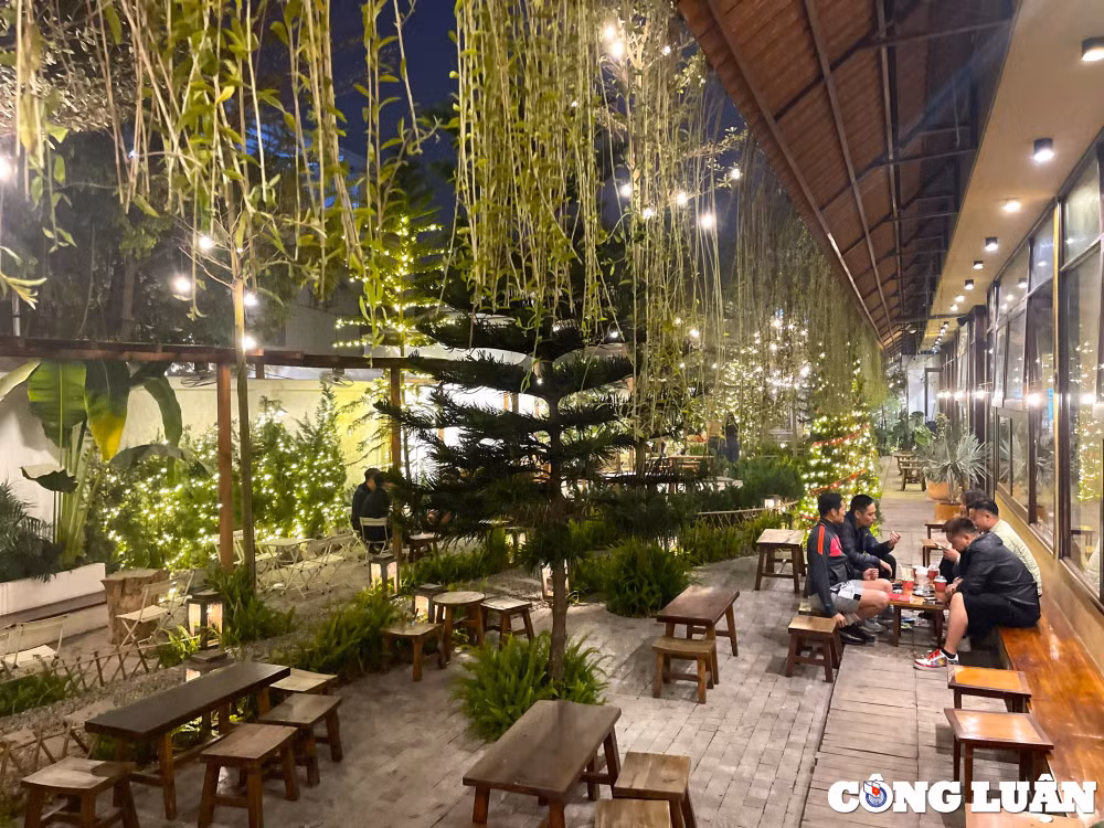 khong gian quan ca phe xanh doc nhat vo nhi tai tp hai duong hinh 7
