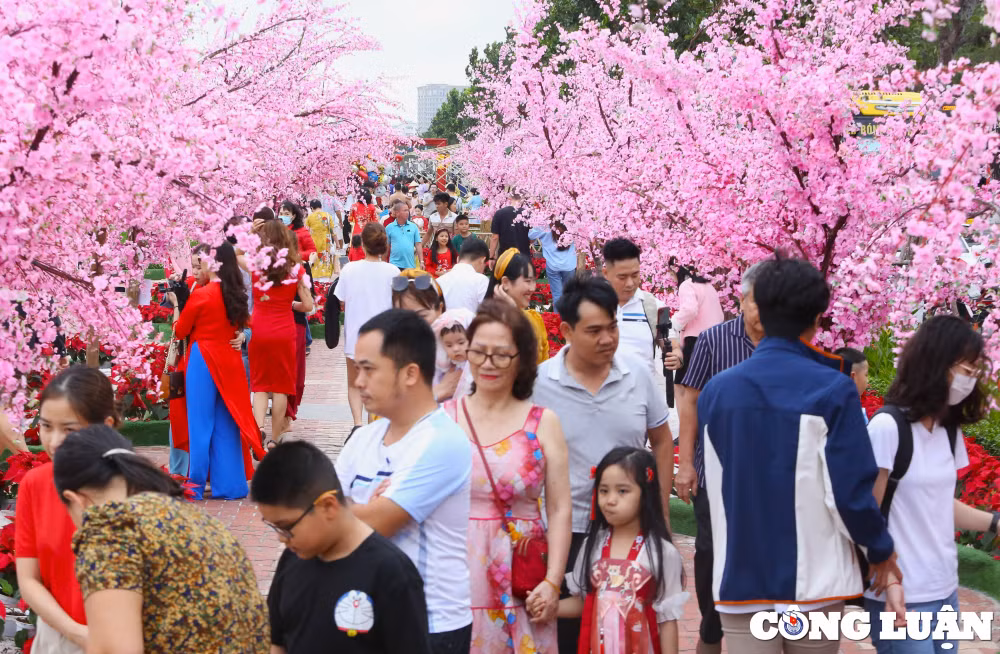 du lich da nang khoi sac nhung thang dau nam moi 2024 hinh 1