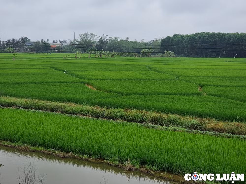 quang tri len ke hoach ung pho voi nguy co han han nam 2024 hinh 1