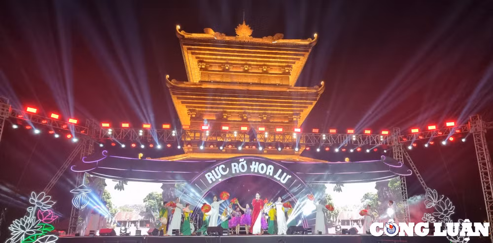 chuong trinh nghe thuat ruc ro hoa lu dan ninh binh ngoi thuyen xem hoi hinh 2
