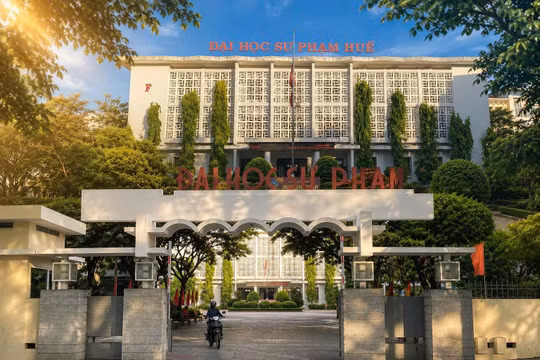 Điểm chuẩn đại học 2026, hàng loạt ngành sư phạm tại Huế giảm mạnh 