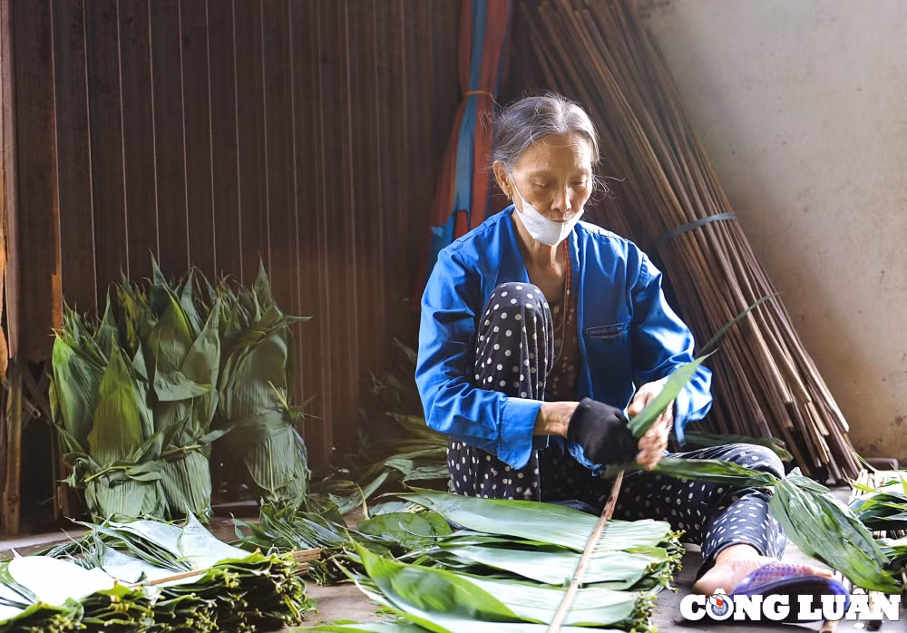 nhung nguoi ho bien la tre trong rung thanh tien hinh 8