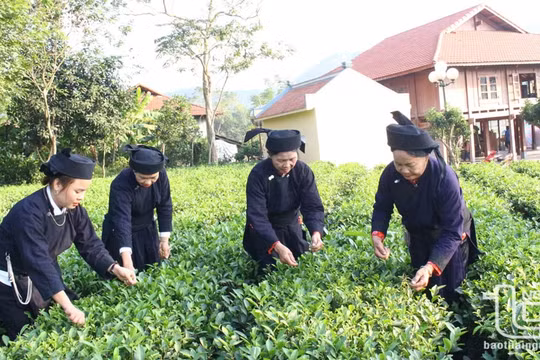 Người Tân Đô giữ gìn bản sắc văn hóa dân tộc để phát triển du lịch