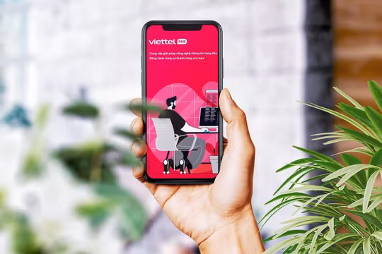 Miễn phí gói giải pháp doanh nghiệp khi dùng internet Viettel