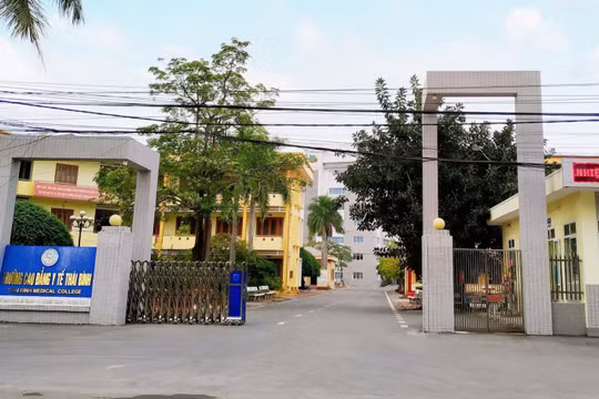 Thái Bình: Vì sao doanh thu của Công ty CP Xây dựng Công trình Nam Đô "nhảy múa" theo từng gói thầu?