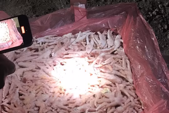 Quảng Ninh: Phát hiện 25 tấn chân gà đông lạnh không rõ nguồn gốc được thu mua trôi nổi
