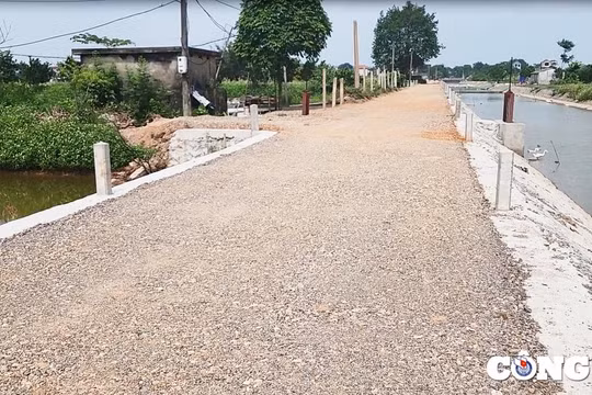 Mỹ Đức (Hà Nội): Công ty TNHH Đại Điền một ngày trúng nhiều gói thầu có tỉ lệ tiết kiệm "siêu thấp"