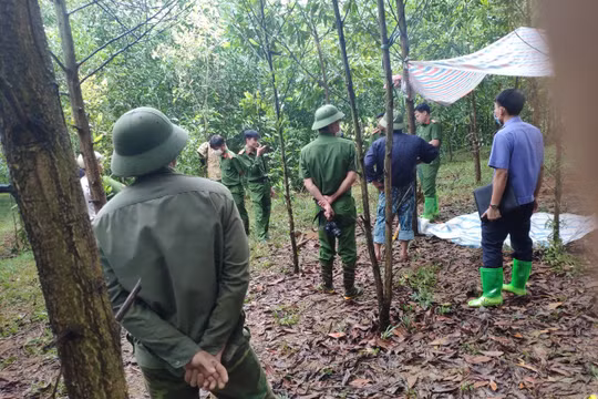 Bé gái tử vong sau tiêm vắc xin: Tiến hành khai quật, khám nghiệm tử thi