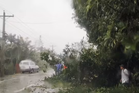 Video bão Yinxing tấn công Philippines khiến làng mạc ngập lụt, sân bay hư hại