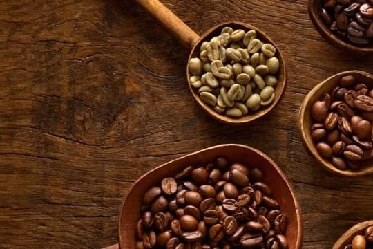 Khi AI thẩm định chất lượng cà phê