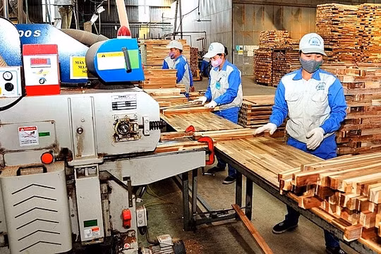 Phấn đấu sản lượng gỗ nguyên liệu đáp ứng tối thiểu 80% nhu cầu trong nước vào năm 2030