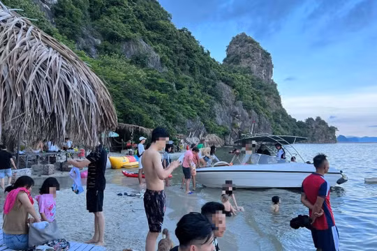 Yêu cầu xử lý tour du lịch 'chui' trên vịnh Bái Tử Long