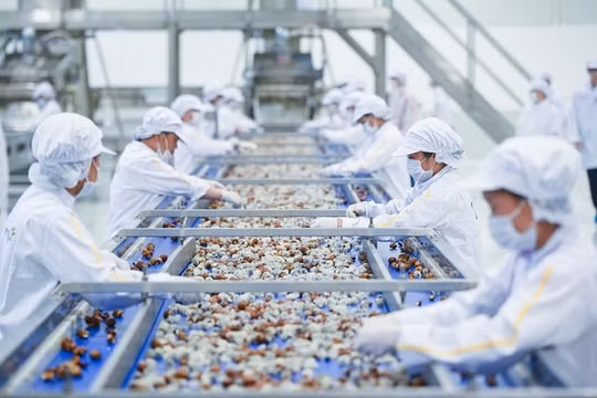 Áp dụng nhiều chính sách khuyến khích sản xuất, kinh doanh thuốc trong nước