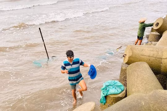 Nam Định: Tăng cường phòng, chống thiên tai và tìm kiếm cứu nạn, bảo đảm an toàn công trình thủy lợi năm 2024