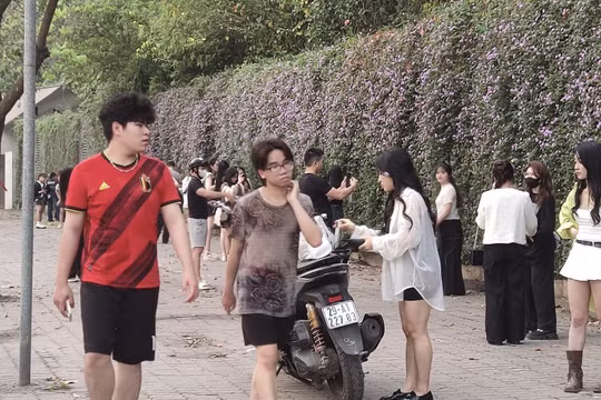 Giới trẻ rủ nhau check-in bức tường hoa tím đang hot tại Hà Nội