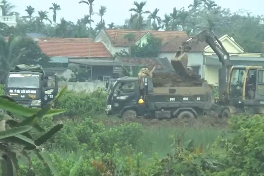 Nga Sơn (Thanh Hóa): Cần xử lý nghiêm hành vi đào, múc vận chuyển đất trái phép