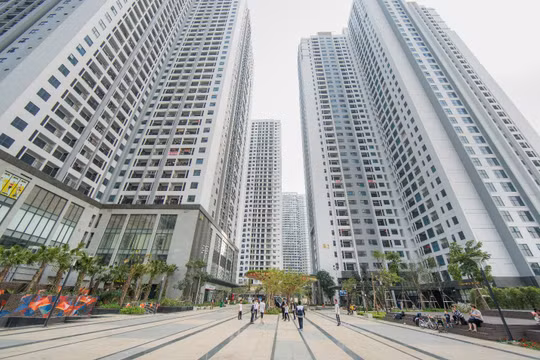 Bộ Xây dựng: Giá chung cư Hà Nội, TP HCM đang chững lại vì tâm lý chờ đợi