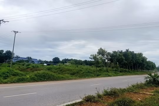 UBND tỉnh Thanh Hoá chỉ đạo xác minh thông tin sau phản ánh của báo Nhà báo và Công luận!