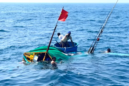 Quảng Ngãi: Tàu hàng va chạm tàu cá, 3 người tử vong và mất tích