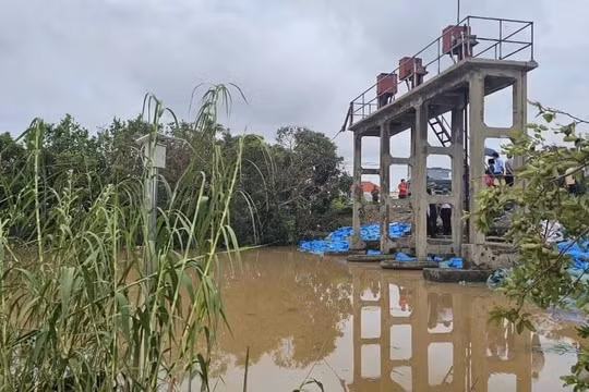 Hải Phòng: Triệu tập đối tượng đăng tin sai sự thật về vỡ đê tại xã Tiên Cường (Tiên Lãng)