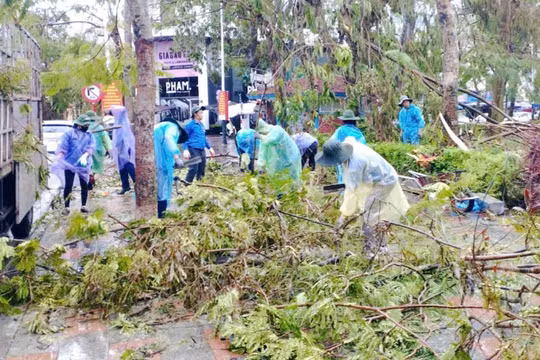 Công ty Môi trường Đô thị Hải Phòng: Huy động tổng lực thu gom xử lý rác thải sau bão số 3