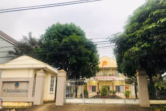 Gia Lai: Đình chỉ công tác Phó Chánh án TAND huyện Đăk Đoa vì nhận hối lộ