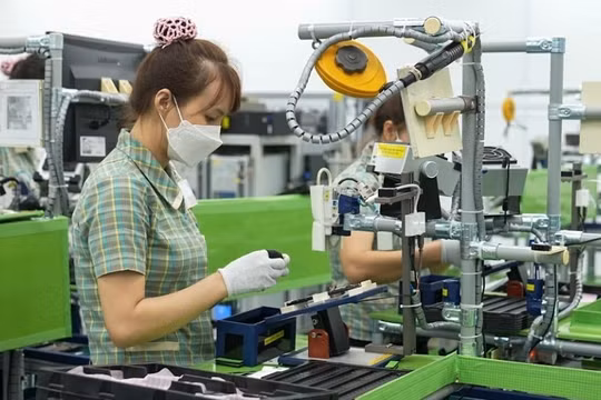 Luật Việc làm (sửa đổi): Mở rộng đối tượng hỗ trợ vay vốn và tham gia bảo hiểm thất nghiệp