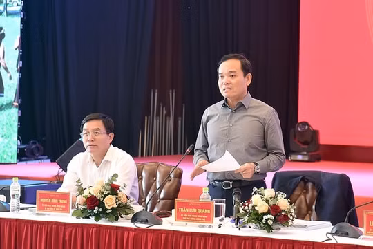 Phó Thủ tướng Trần Lưu Quang: Kiểm kê rừng bằng ứng dụng công nghệ để bảo đảm tính chính xác, minh bạch
