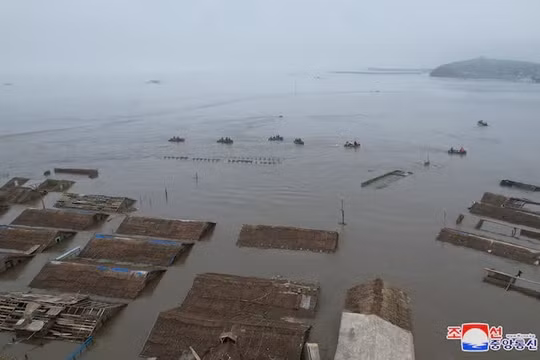 Hàn Quốc tuyên bố sẵn sàng giúp Triều Tiên cứu trợ lũ lụt