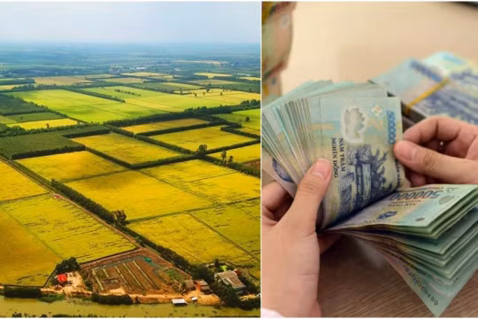 Quỹ phát triển đất là quỹ tài chính nhà nước ngoài ngân sách, hạch toán độc lập, có vốn điều lệ