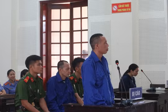 Cặp đôi 'ngưu tầm ngưu, mã tầm mã' lại vào tù