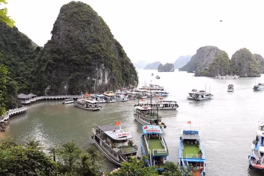 Hướng dẫn hơn 500 tàu hoạt động tại khu vực nguy hiểm trên Biển Đông di chuyển tránh trú bão số 3