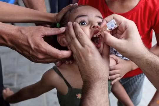 WHO vượt mục tiêu tiêm vắc xin bại liệt cho trẻ em Gaza
