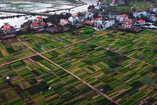 Trải nghiệm làm nông dân tại vườn rau Trà Quế - Hội An