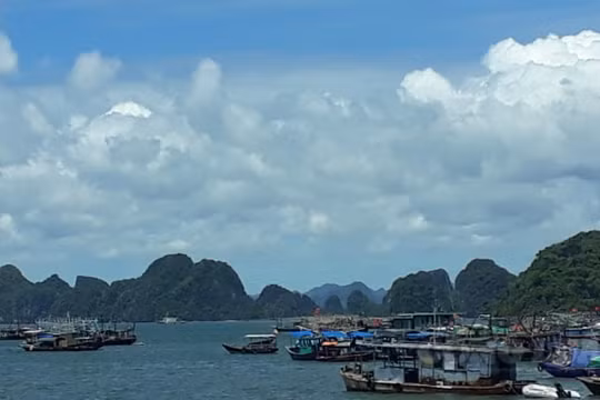 Nhiều tỉnh miền Trung cấm biển, ứng phó với bão số 6