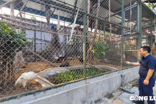 Hà Nội: Tạo lập môi trường hạnh phúc cho động vật hoang dã