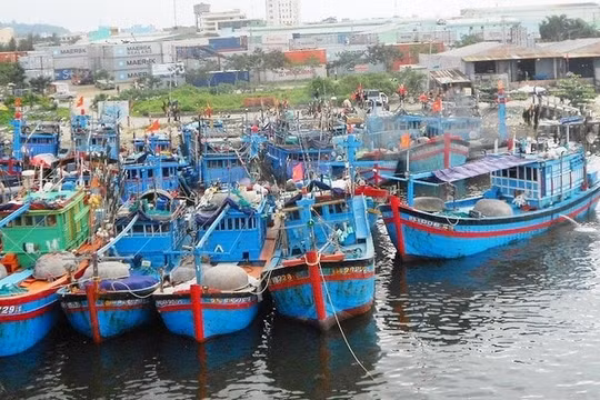 Phó Thủ tướng: Xóa bỏ toàn bộ tàu cá “3 không” trước ngày 20/11