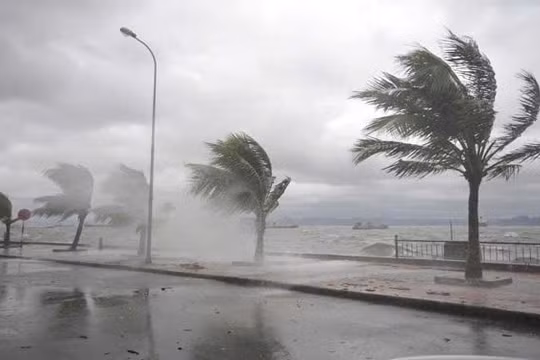 Bão Trà Mi sẽ gây mưa rất lớn cho miền Trung