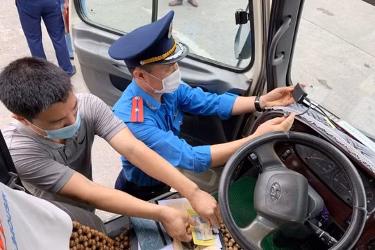 Hà Nội: Thu hồi phù hiệu, biển hiệu của 750 phương tiện vi phạm tốc độ