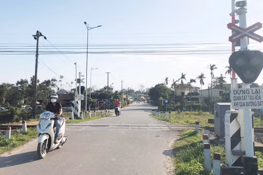 Xây dựng đường gom nhằm xoá bỏ lối đi tự mở qua đường sắt